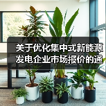 关于优化集中式新能源发电企业市场报价的通知(试行)(图4) 关于优化集中式新能源发电企业市场报价的通知(试行)(图4)