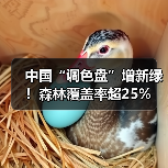 中国“调色盘”增新绿!森林覆盖率超25%(图2) 中国“调色盘”增新绿!森林覆盖率超25%(图2)