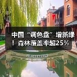 中国“调色盘”增新绿!森林覆盖率超25%(图1) 中国“调色盘”增新绿!森林覆盖率超25%(图1)