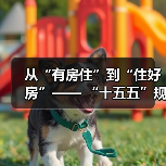 从“有房住”到“住好房”—— “十五五”规划下“好房子”的时代内涵与实践路径(图3) 从“有房住”到“住好房”—— “十五五”规划下“好房子”的时代内涵与实践路径(图3)
