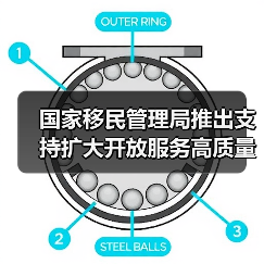 国家移民管理局推出支持扩大开放服务高质量发展10项创新举措(图1) 国家移民管理局推出支持扩大开放服务高质量发展10项创新举措(图1)