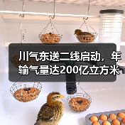 川气东送二线启动,年输气量达200亿立方米推动绿色转型(图1) 川气东送二线启动,年输气量达200亿立方米推动绿色转型(图1)