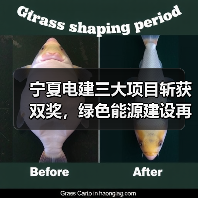 宁夏电建三大项目斩获双奖,绿色能源建设再添佳绩(图3) 宁夏电建三大项目斩获双奖,绿色能源建设再添佳绩(图3)