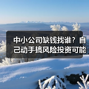 中小公司缺钱找谁?自己动手搞风险投资可能吗?(图1) 中小公司缺钱找谁?自己动手搞风险投资可能吗?(图1)