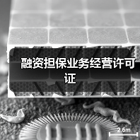 融资担保业务经营许可证(图4) 融资担保业务经营许可证(图4)